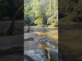 Effects of Waterfall Sounds