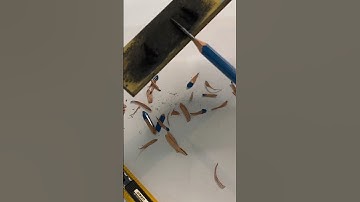 How Pro Artists Sharpen Pencils ✏️ #art #artsupplies #sketch #drawing