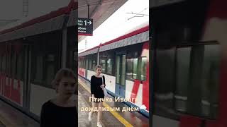 Поезд «Иволга 3.0» на станции «Волоколамская» МЦД-2 #метромосквы #иволга #мцд