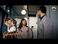 Boss Vs Mulazim | Feroze Khan - Sahar Hashmi - Mahmood Aslam | Shaidai