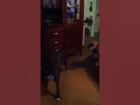 Waiting for momma - YouTube