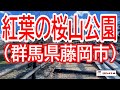 【紅葉の桜山公園】【群馬県藤岡市】紅葉の桜山公園(群馬県藤岡市)