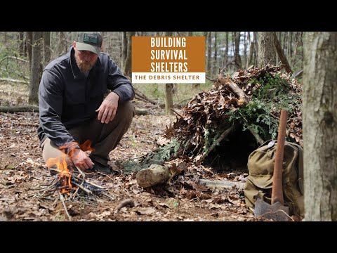 Wie ein Wald Überleben Shelter bauen