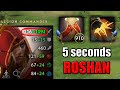 5 seconds ROSHAN [1300 Damage with Double Hit] Ability draft