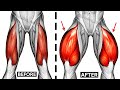 9 Easy Exercises Quads Workout | Leg Day