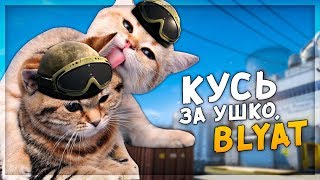 КУСЬ ЗА УШКО, BLYAT (CS:GO)