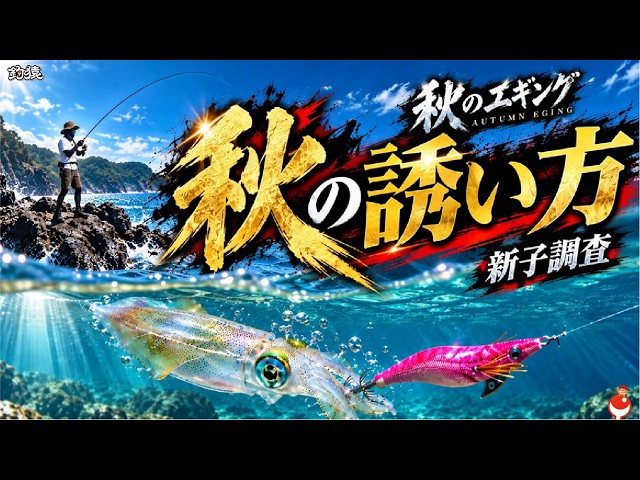 エギング】秋イカシーズン開幕！釣れる時だからこそ皆に教えたい「新子