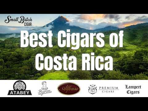 cleaning cigarette smoke from walls Effective Cleaning Tips for Smoke-Damaged Ceilings