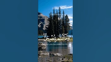تلاوة خاشعة للشيخ يوسف الصقير#عثمان_الخميس #القرآن_الكريم_quran_com