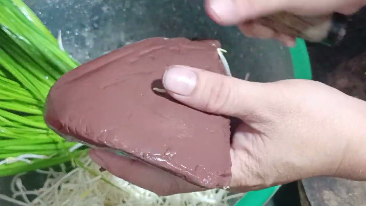 Canh Huyết Nấu Với Giá Hẹ | Món Canh Dân Dã Ngọt Thanh Dễ Làm