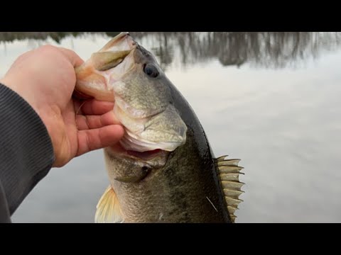January Bass Fishing w/ Dylan