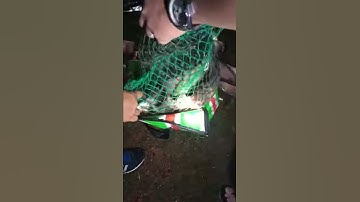 Câu đêm đập đá bàn tân uyên cá ăn không muốn kéo