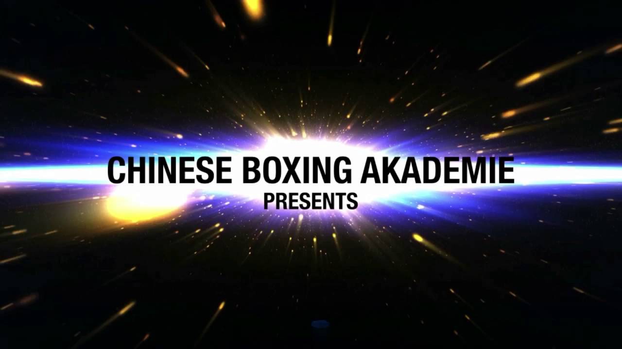 Sifu Nihat Atamtürk - Chinese Boxing Techniques