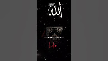 القرآن الكريم _أجر لي ولكم _أرح سمعك وقلبك _أكتب شيء تؤجر عليه #🌿🤍🌹🦋