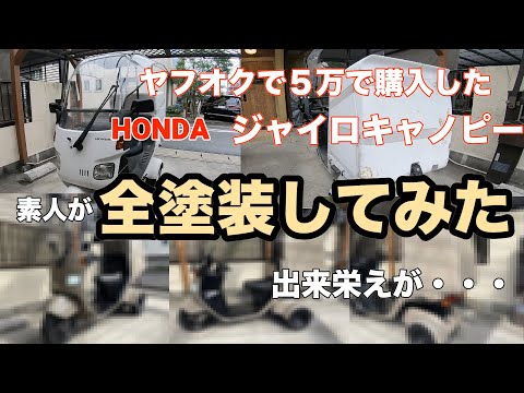 ヤフオクで5万円のキャノピー》ボロボロの状態から素人が全塗装