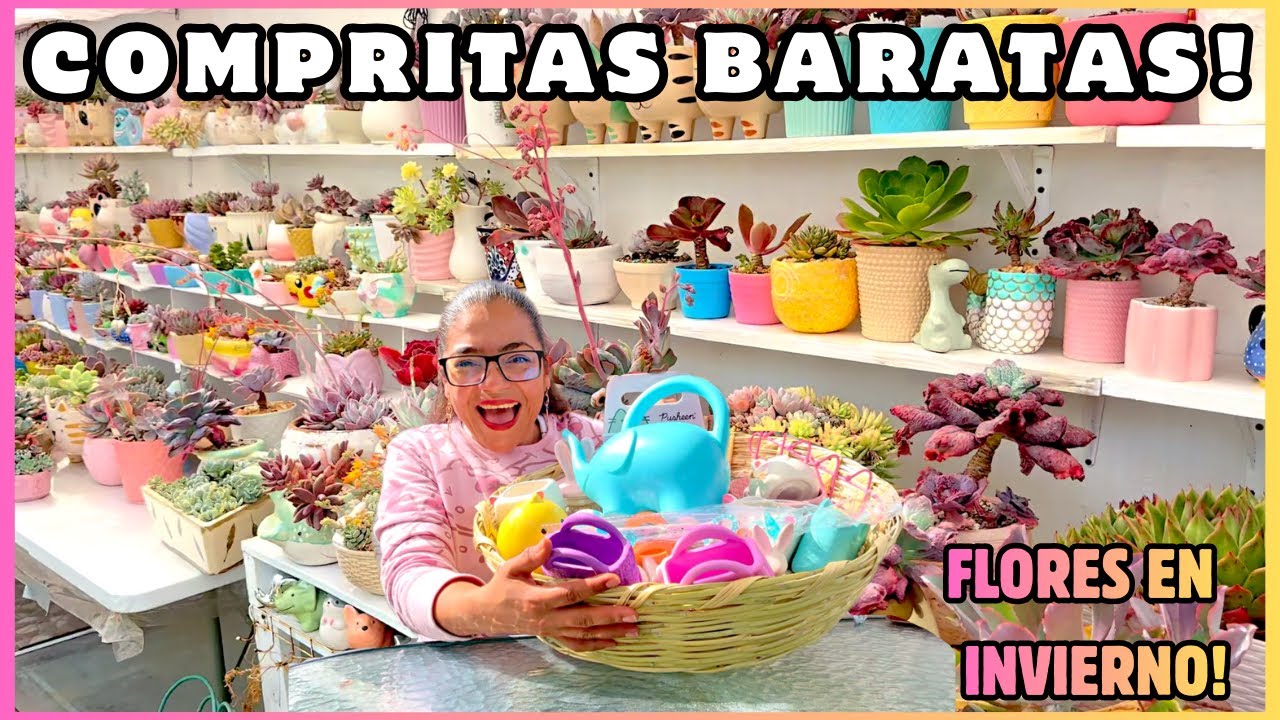 COMPRITAS BARATAS DE JARDIN | CASI TODO A DOLAR + FLORES EN PLENO INVIERNO