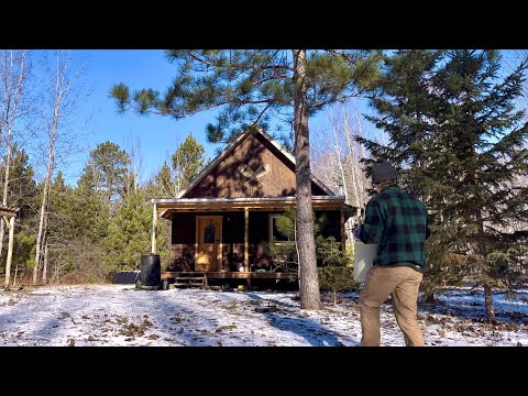 This ONE THING Made ALL THE DIFFERENCE. Off-Grid Living in the Woods