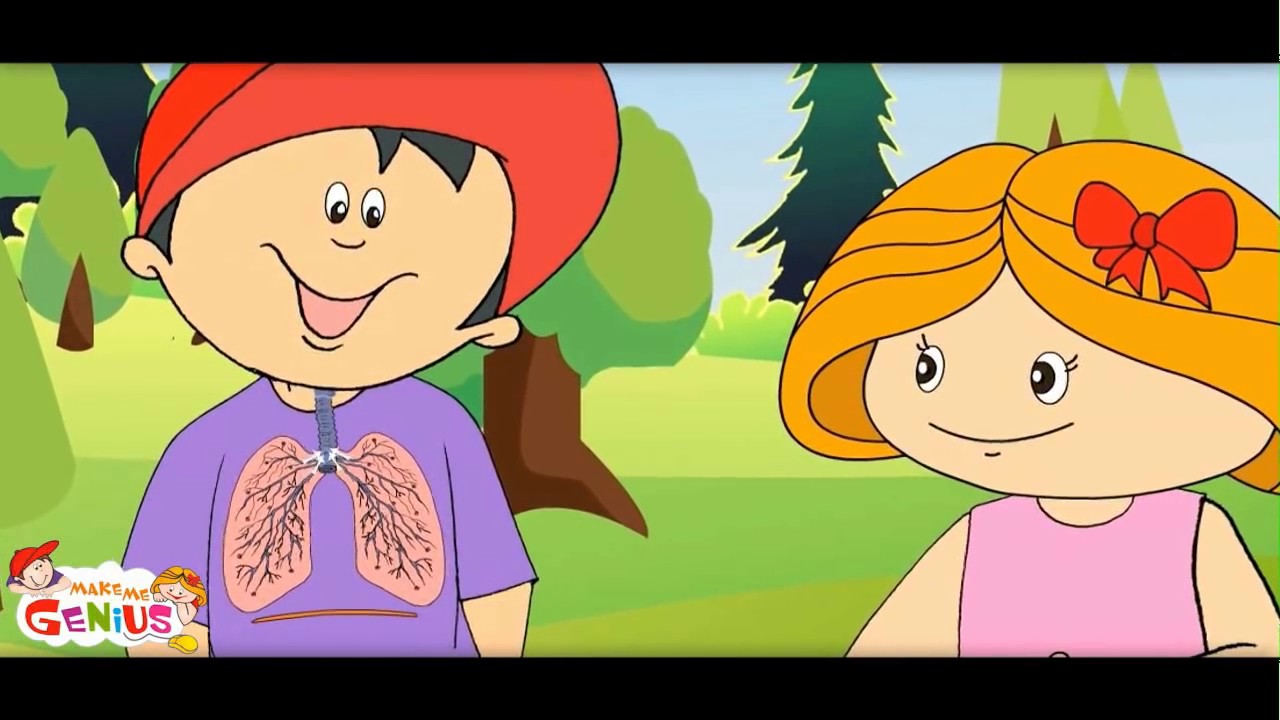 Respiratory System for Kids Breathing by www makemegenius com - YouTube