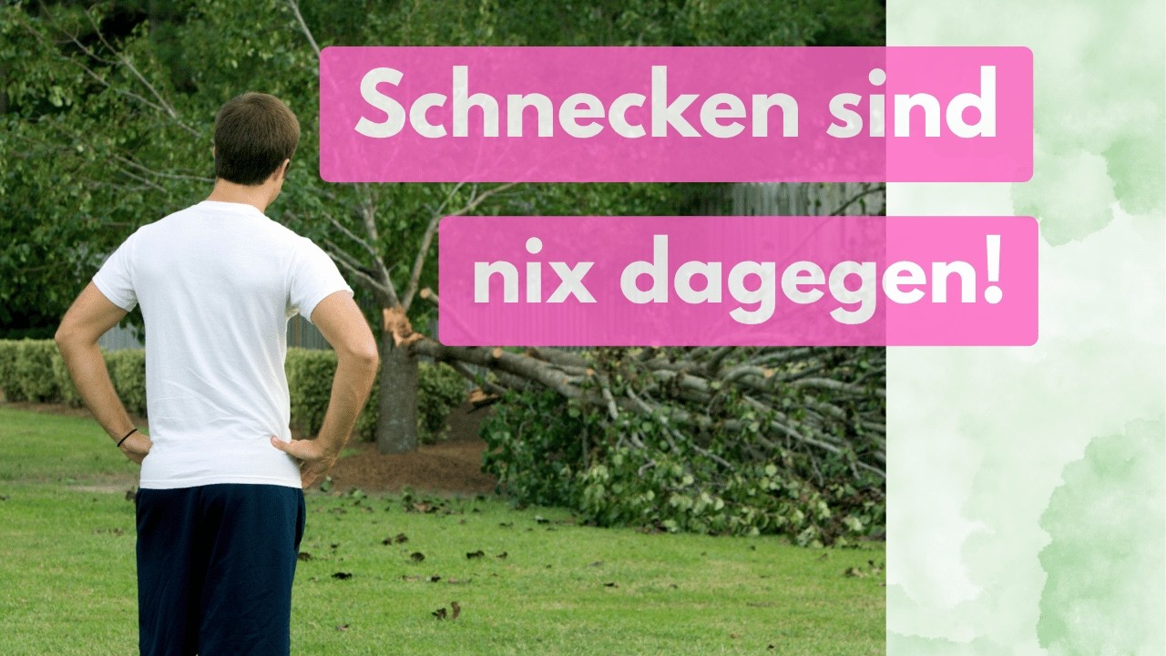 Was tun bei Unwetter 7 Gartenfehler, die dir ALLES zerstören!