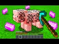 Minecraft, But You Can Mine Any Mob...