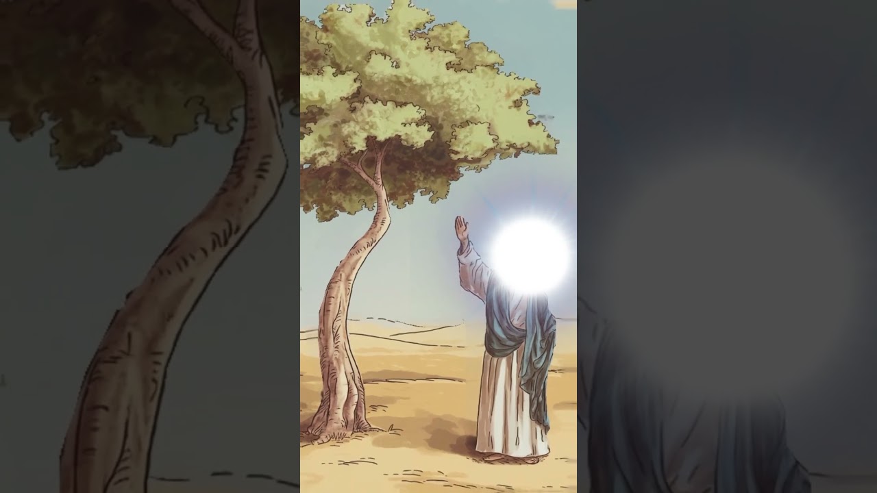 একটি গাছ ও  কালেমার সাক্ষ্য দেয় মহানবী আশ্চর্যজনক ঘটনা 