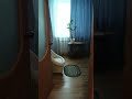 Продается недорого хорошая 3-х комнатная квартира в г. Дубна Московской области