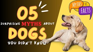 Exploring 5 Fascinating Dog Myths #pets #dogmyths #dog by Pets Pine 51 views 7 months ago 3 minutes, 8 seconds