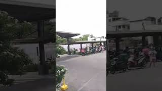 Flowers At The Back Of Mall Located district Ayala Mall Imus natureenjoyshopping