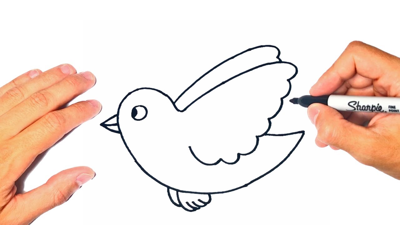 Flying 🕊️ Bird drawing easy || How to draw a Cute Bird easy || birds  drawing easy step by step - YouTube