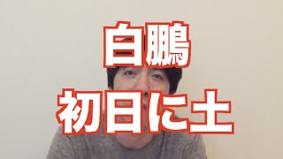 「白鵬初日に土」 ねづっち (ニュース)