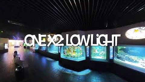 Insta360 One X2: Low Light, Auto Settings