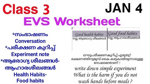 Class 3 Evs Worksheet Jan 4|Std 3 Evs Worksheet 4/1/22|Std 3 Environmental Studies|Class 3 Worksheet