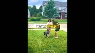 This Pit Bull Just Wanted A Friend