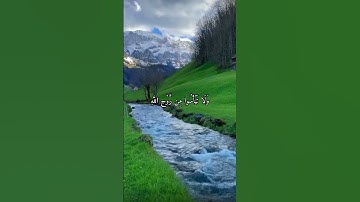 واتس اب قران كريم القارئ مشاري فالح (سوره يوسف)