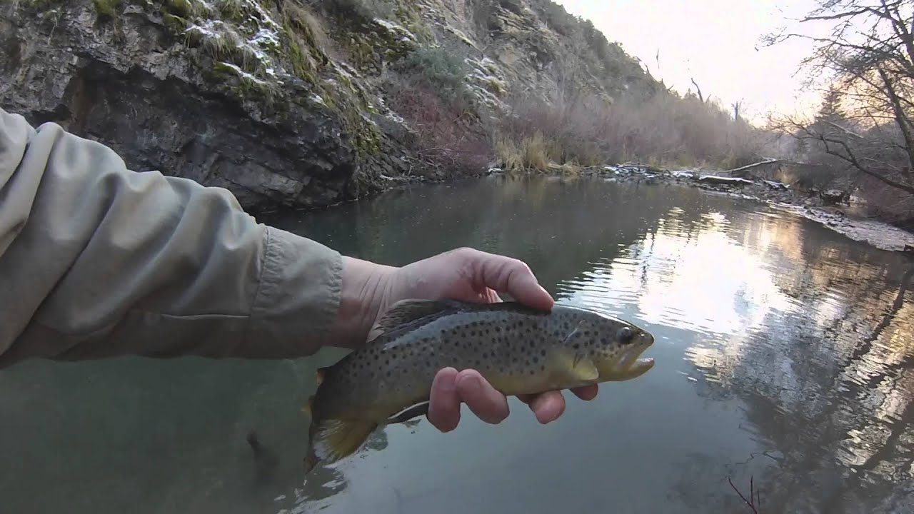 Tenkara Fly Fishing the Ogden River in December YouTube