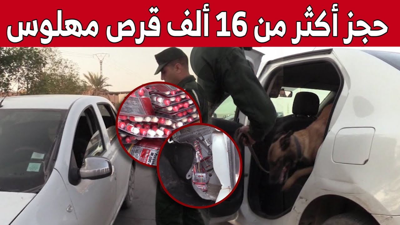 حجز أكثر من 16000 كبسولة من المؤثرات العقلية بـ #غرداية.. شاهد: