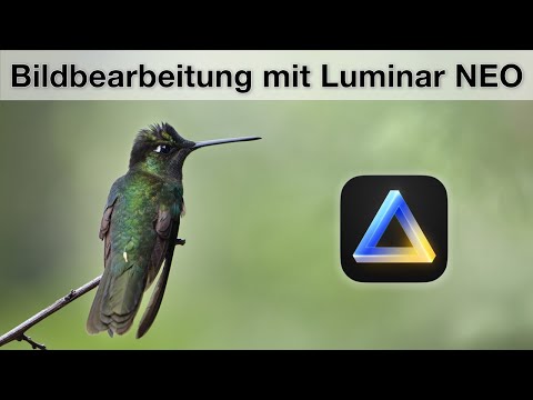 Luminar Neo - Bildbearbeitung für die Natur- und Tierfotografie