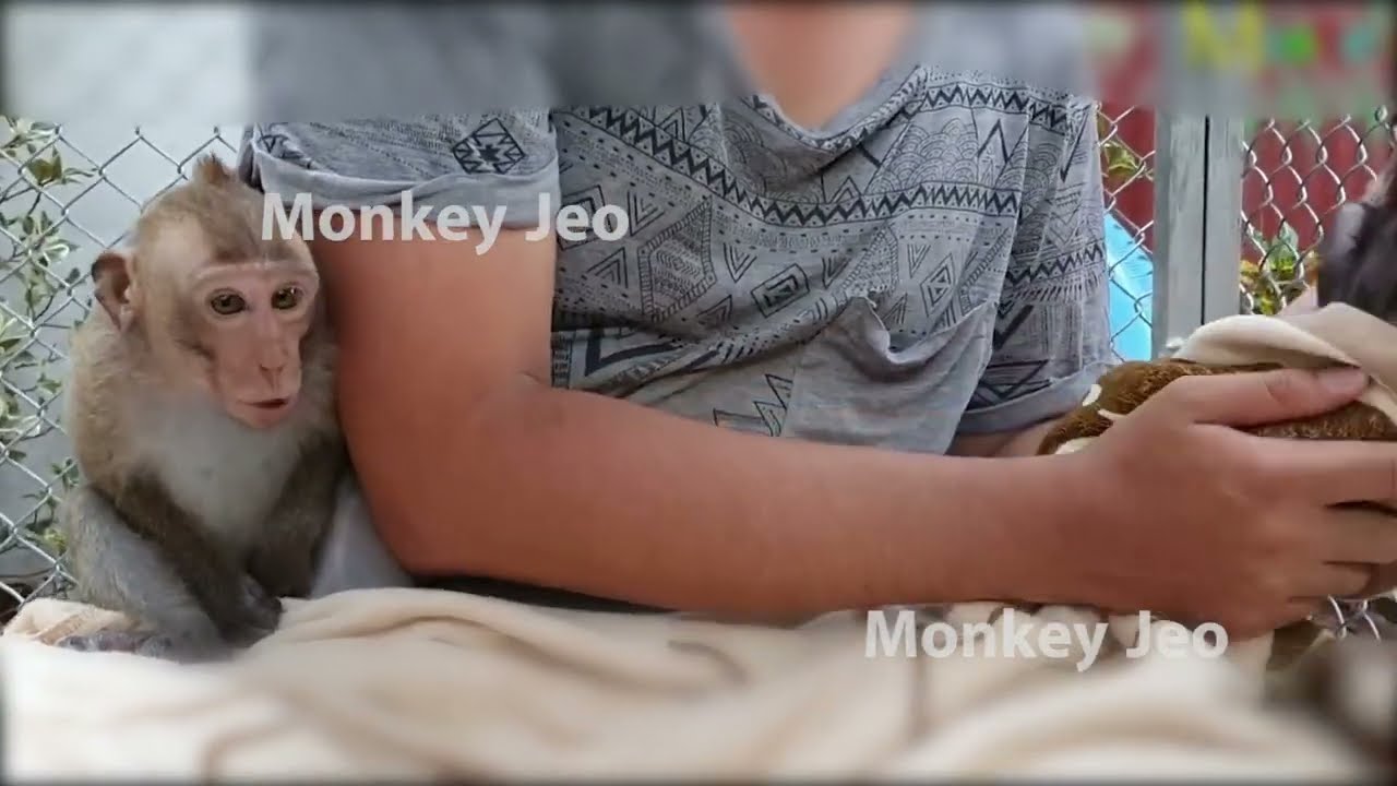 Titanic Tantrum   ! Sister Mona AngryCrying Daddy Not Let Her Help Him Wear Diaper For Little Elvis