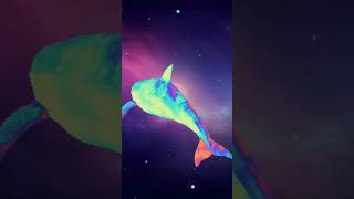Dolphin Spinning In Galaxy With Sound