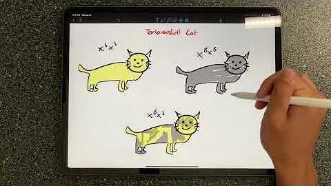 GN 311 Module 1: Lyon Hypothesis Video