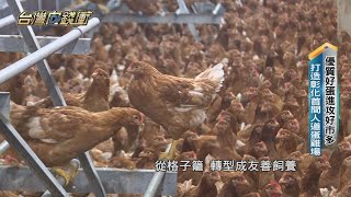 蛋農第四代轉型 打造彰化首間人道蛋雞場20211120【台灣向錢衝】PART2