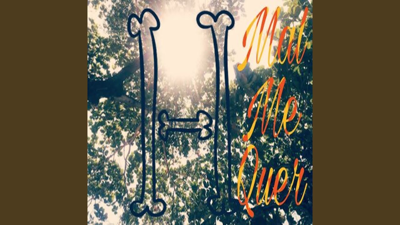 Ao Som dos Pássaros