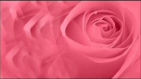 A. Vivaldi: Concerto for strings & b.c. in F major (RV 142) / Budapest Strings