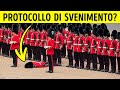 101 fatti che vi faranno sentire immediatamente più intelligenti