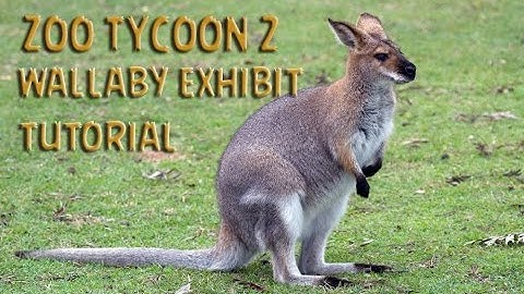 Zoo Tycoon 2 Tutorial - Simple Wallaby/ Kangaroo Exhibit