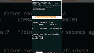 docker volumes mount option | create and remove container