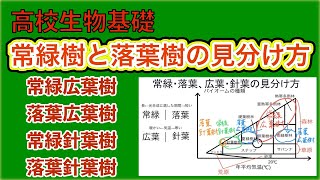 高校生物基礎 バイオーム 常緑樹と落葉樹の見分け方 Youtube