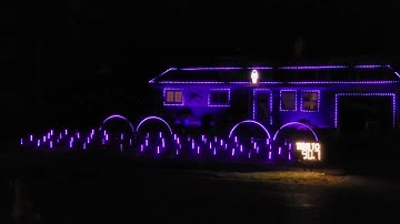 The Halloween lights are up! (These peace stakes are awesome!!!!!!!)