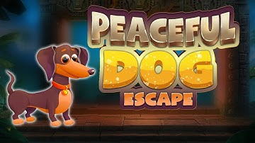 G4K Peaceful Dog Escape Game Walkthrough