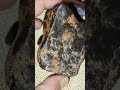 شهاب سنگی با ذرات طلا در قسمت روشن قطعه Meteorite Meteoritics شهابسنگ شهاب شهاب سنگی با ذرات طلا در قسمت روشن قطعه Meteorite Meteoritics شهابسنگ شهاب